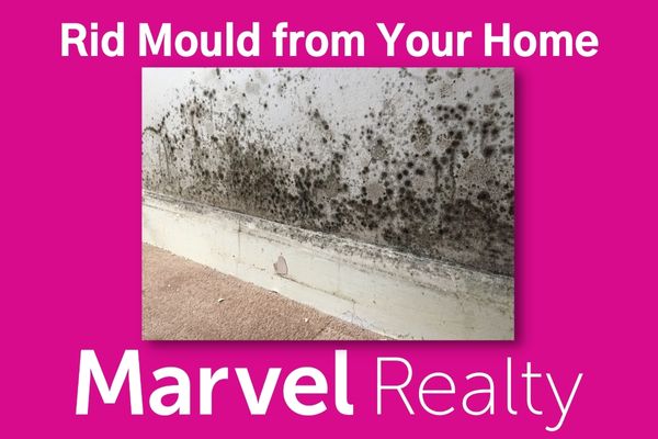 Rid Mould from Your Home